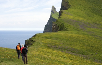 Photo of Hornbjarg Cliffs